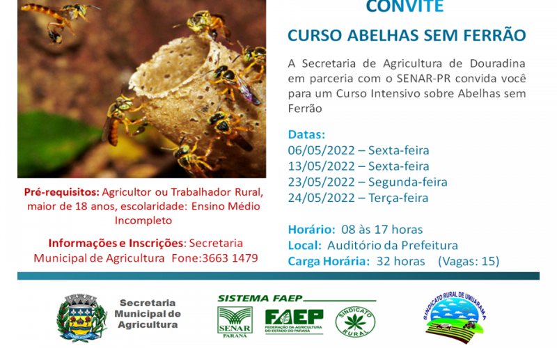 Curso Abelha sem Ferrão